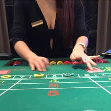 raya22
